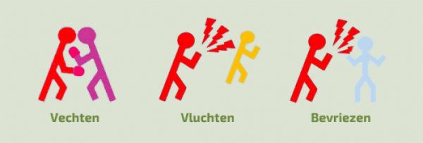 Vechten, vluchten of bevriezen